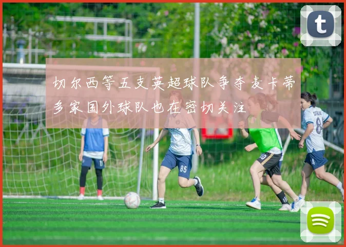 切尔西等五支英超球队争夺麦卡蒂多家国外球队也在密切关注