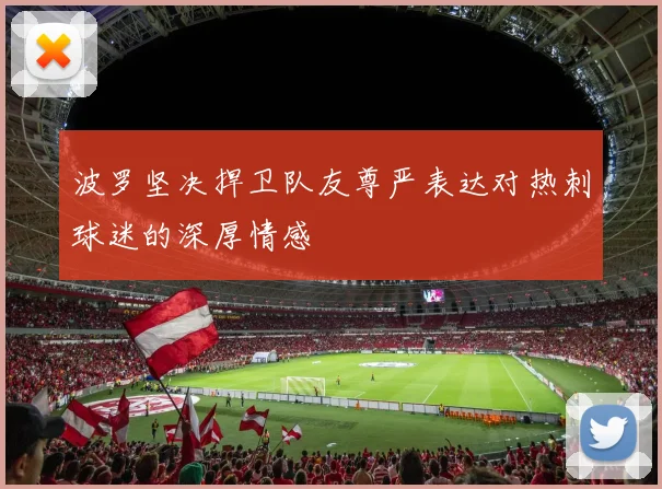 波罗坚决捍卫队友尊严表达对热刺球迷的深厚情感