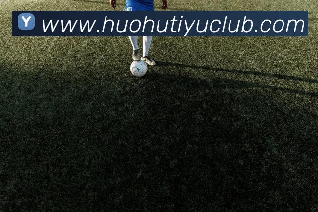 火狐体育APP 封面图